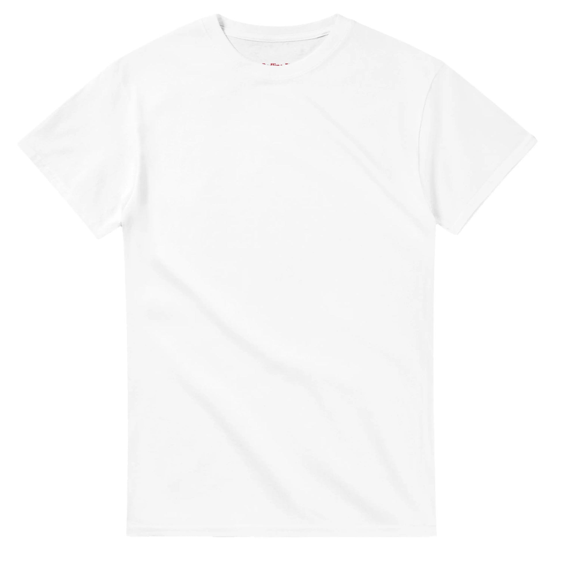 Nissan Skyline GT-R R34 Heavyweight Cotton T-Shirt Redline Fits